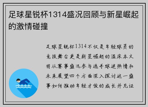 足球星锐杯1314盛况回顾与新星崛起的激情碰撞