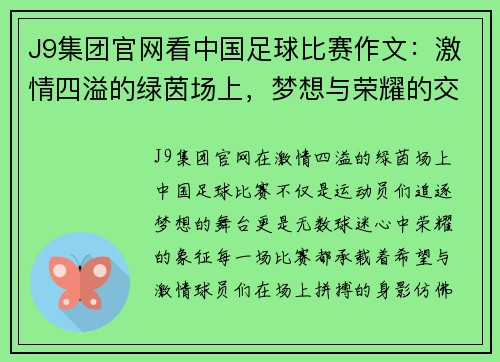 J9集团官网看中国足球比赛作文：激情四溢的绿茵场上，梦想与荣耀的交汇点