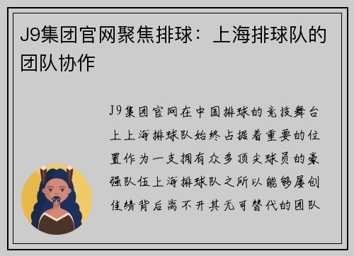 J9集团官网聚焦排球：上海排球队的团队协作